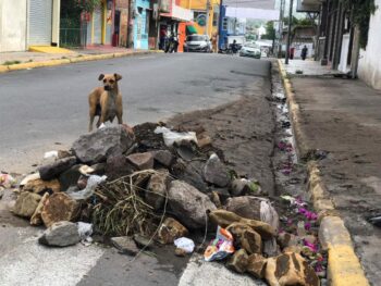 Las-problématicas-ambientales-han-sido-olvidadas-por-el-estado-de-Nicaragua