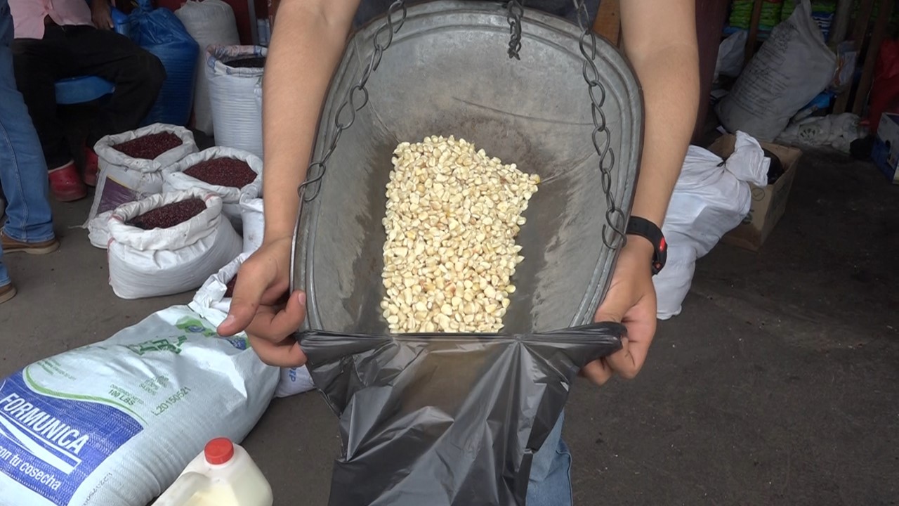Precio-del-maíz-en-Matagalpa