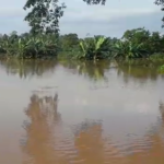 Tormenta Bonnie deja secuelas ambientales fuertes en Nicaragua, dicen ambientalistas