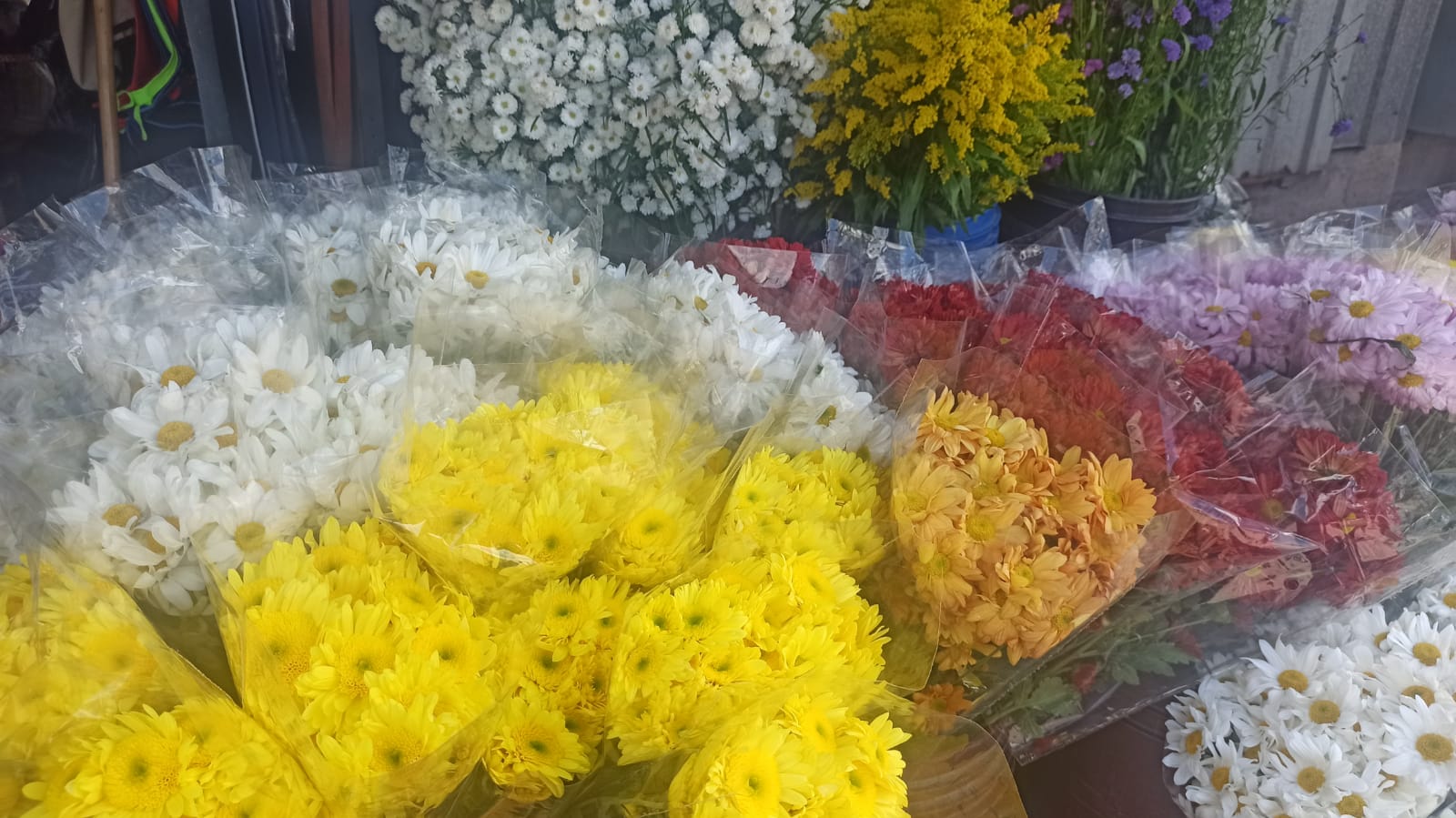 Comercio-de-flores-en-Matagalpa