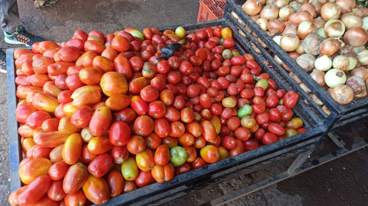 Precio-de-tomate-aumenta-en-Matagalpa