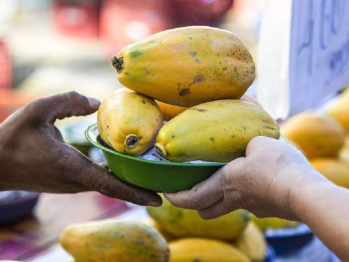 Intercambio-de-frutas-en-comunidades-de-Matagalpa