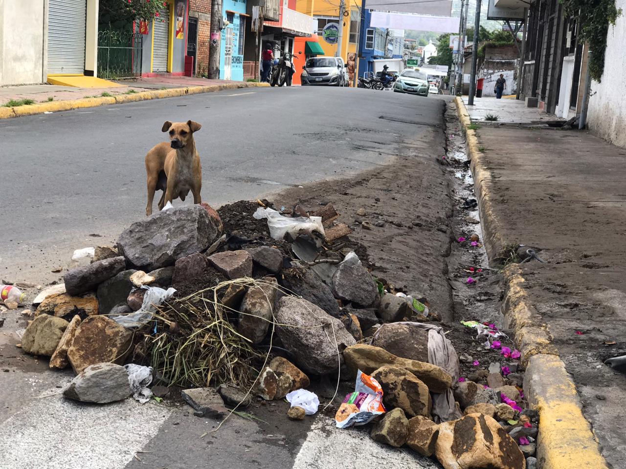 Lluvias en Matagalpa muestran contaminación y estancamiento de alcantarillas
