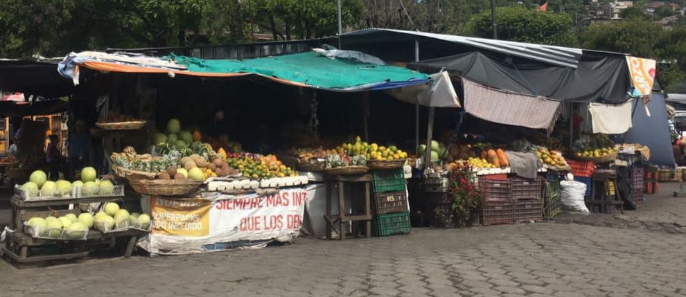 Precio-de-frutas-en-Matagalpa