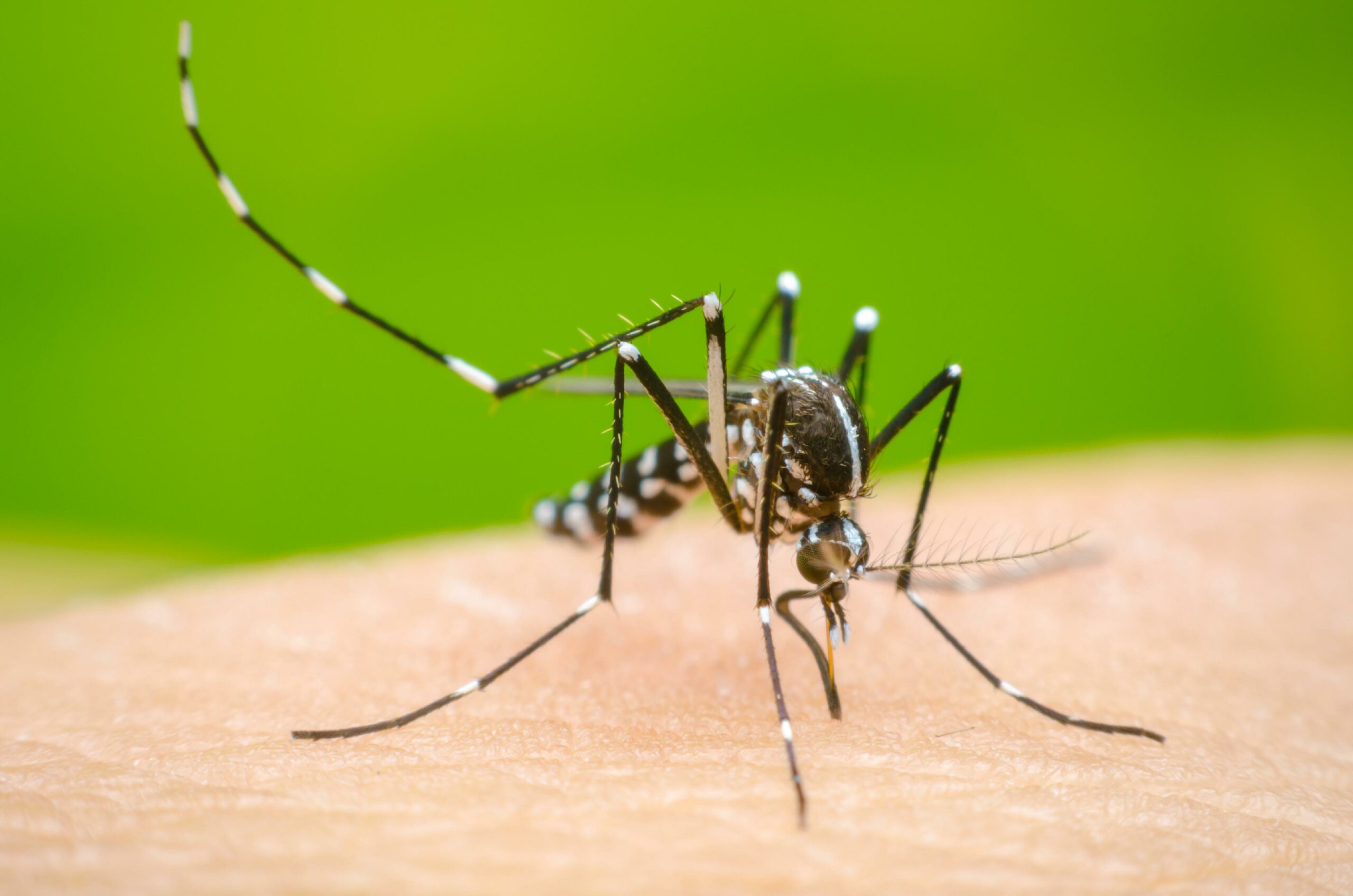 Incrementan-casos-de-dengue-en-Nicaragua